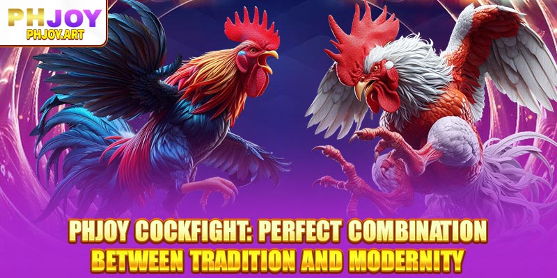 Explore the world of Phjoy Cockfight: the convergence of dramatic cockfights