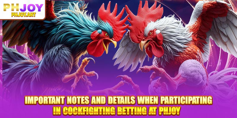 Important notes and details when participating in cockfighting betting at Phjoy