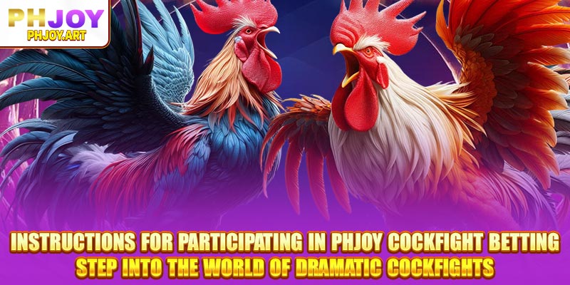 Instructions for participating in Phjoy Cockfight betting: Step into the world of dramatic cockfights