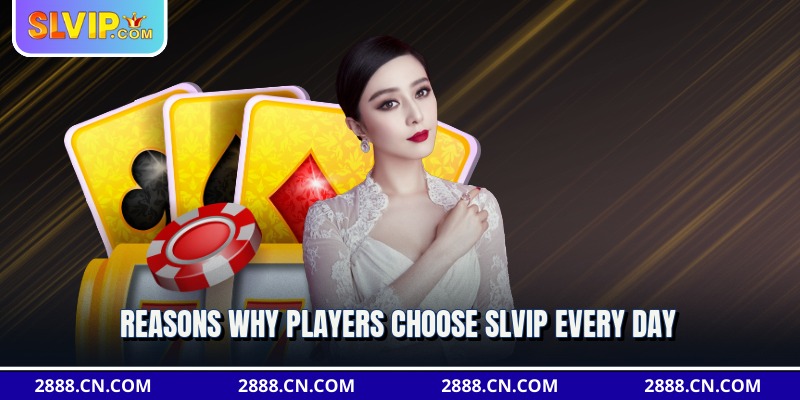 Reasons why players choose slvip every day